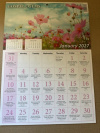 Gospel Gems Calendar 2027 (pack of 10)